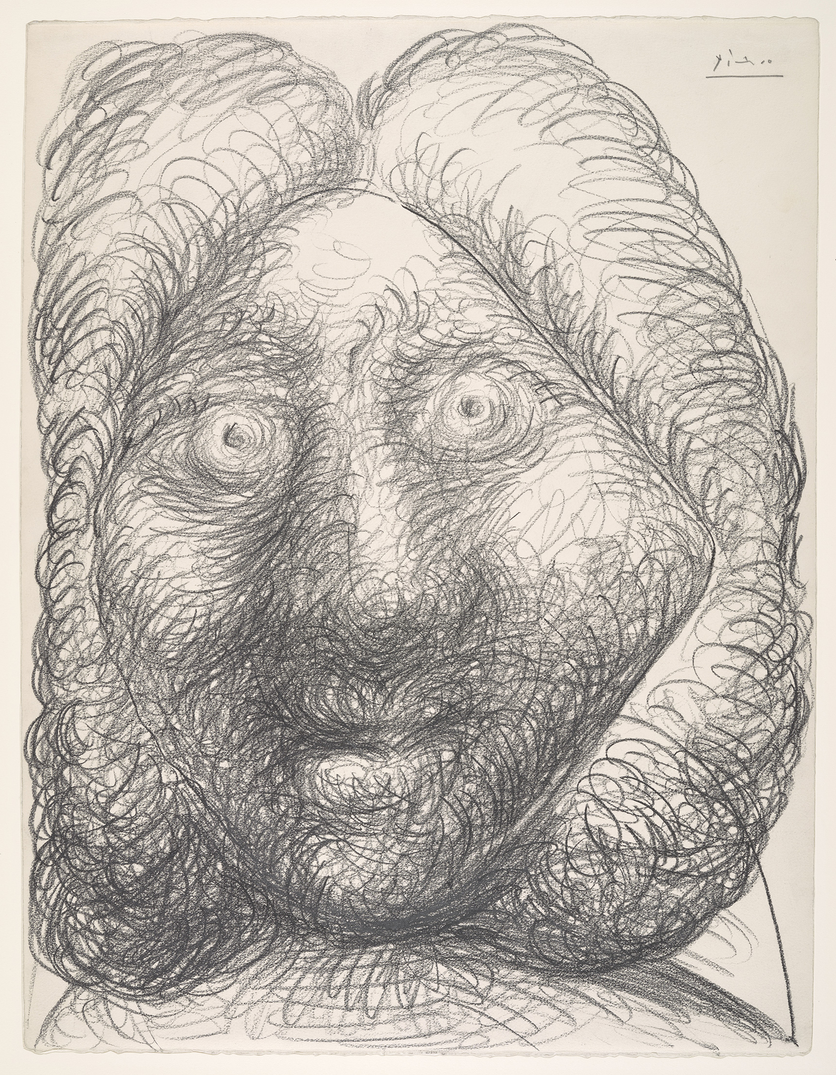 Picasso - Tête d'homme - MP1982-160 - 19-500988 