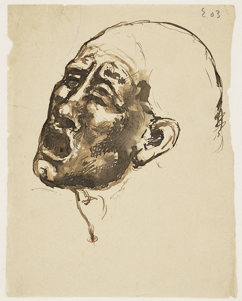 Pablo Picasso, « Tête de femme criant », 1903, Plume, encres brune et noire et lavis sur papier, 23,1 x 18,3 cm, MP470, Musée national Picasso-Paris