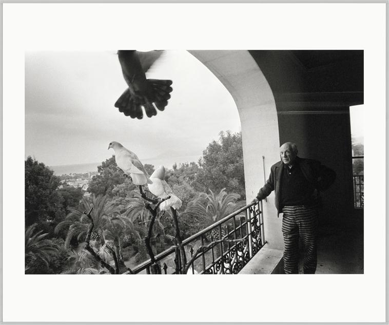 Duncan David Douglas, « Pablo Picasso au balcon du 2e étage où vivent ses colombes », La Californie, 1957, Cannes, Musée national Picasso – Paris
