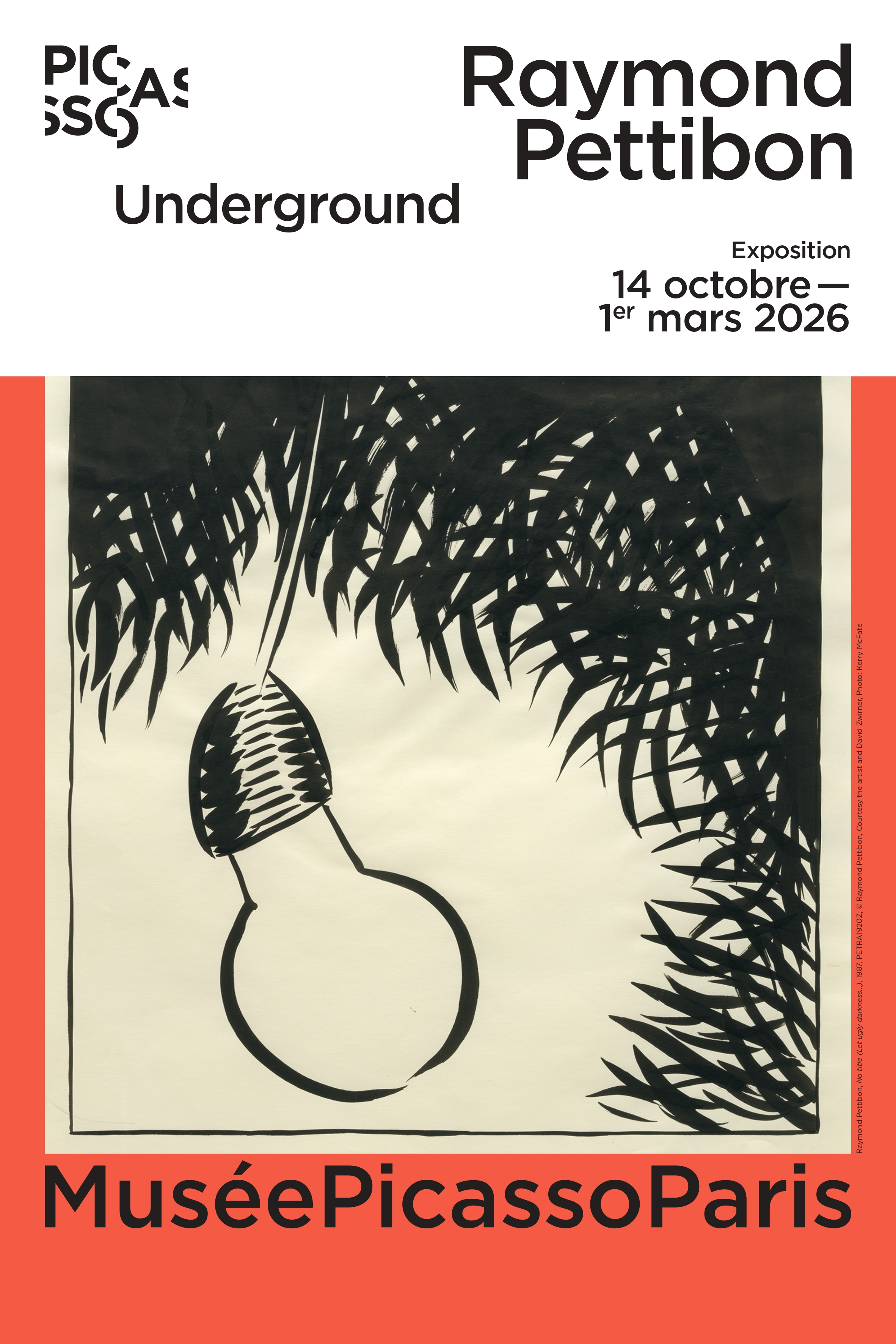 Affiche Raymond Pettibon