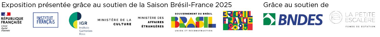 logo saison france/brésil